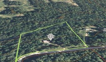 951 E County Road 206, Alton, MO 65606