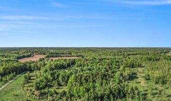 15252 27 Mile Rd, Albion, MI 49224