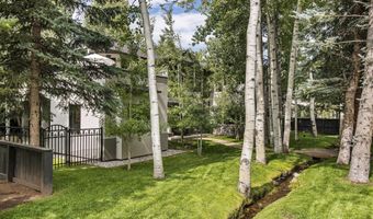307 N Sixth St, Aspen, CO 81611