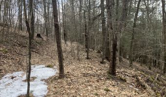 0 TBD Elleber Sods Rd, Bartow, WV 24920
