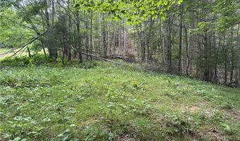 1143 Rominger Rd, Banner Elk, NC 28604