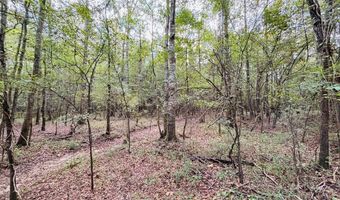 644 Ash-Harrel Loop, Abbeville, GA 31001