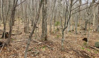 0 Clarks/Woodland Trl 409-4, Alexandria, NH 03220