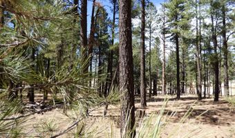 8 B County Road 2267 Escudilla Rd, Alpine, AZ 85920
