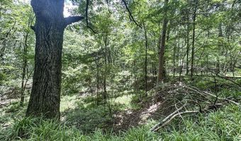 Pine Lodge Road, Batesville, MS 38606
