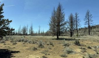 31763 Godowa Springs Rd, Beatty, OR 97621