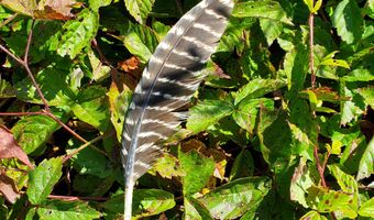 W McMann & Porcupine Hill Road lot 3, Addison, ME 04606