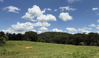 0 Newman Ln, Blaine, TN 37709