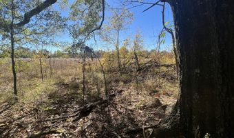 5151 Nash Rd, Batesville, MS 38606