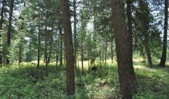 39 Forest Ridge Rd, Blanchard, ID 83804