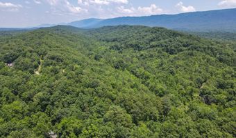 Tract 1 Welcome Valley Road, Benton, TN 37307