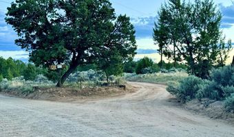 S Carson Road 39 Acres, Carson, NM 87517