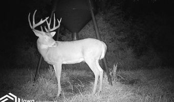 560 Th Ave, Albia, IA 52531