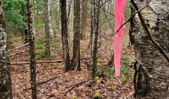 0 Ryan Rd, Baileyville, ME 04694