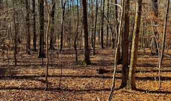 1290 Cedar Cove Rd, Camden, SC 29020