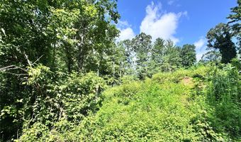 3 Winter Hawk Dr 1, Arden, NC 28704