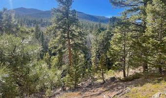 399 N Skinner Rd, Allenspark, CO 80510