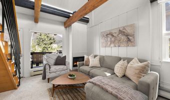 605 E Main St #9, Aspen, CO 81611