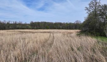 County Road 450 N, Albion, IL 62806