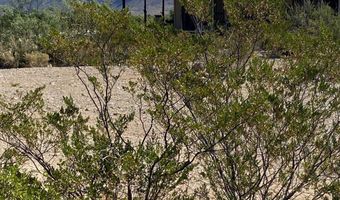 200 Lake Ament Rd, Alpine, TX 79830