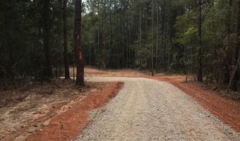 00 TRACT # 2 Burgetown Rd, Carriere, MS 39426
