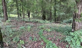 159 Brook Ln, Bee Branch, AR 72013