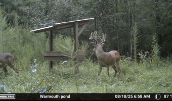 644 Ash-Harrel Loop, Abbeville, GA 31001
