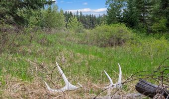 22585 Fatty Creek Rd, Bigfork, MT 59911