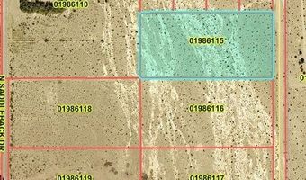 2902 N Falcon Rd, Amargosa Valley, NV 89020