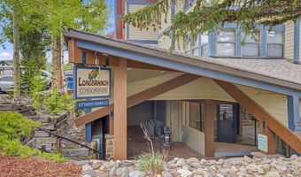 107 N Harris St 209, Breckenridge, CO 80424