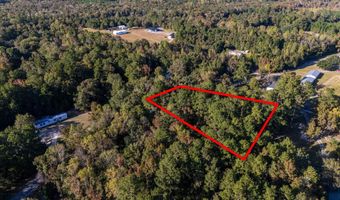 TBD Barnes Rd, Andrews, SC 29510