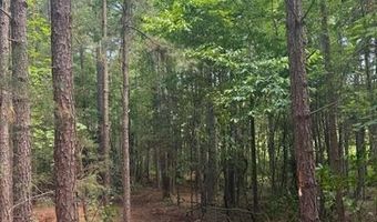 Piney Mountain Rd, Appomattox, VA 24522
