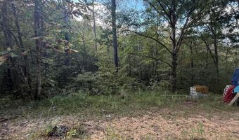 COUNTY RD 3730, Addison, AL 35540