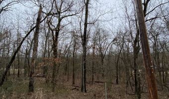 TBD Mineola Drive, Cherokee Village, AR 72529