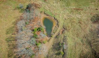1520 Brittontown Rd, Afton, TN 37616