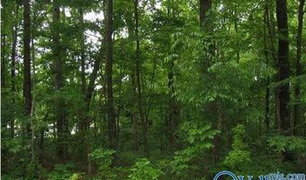 01 8th Ave, Arab, AL 35016