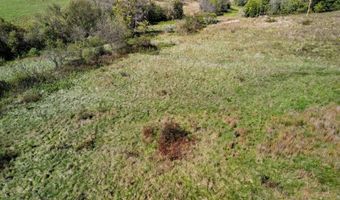 3850 Private Drive 3220, Ava, MO 65608