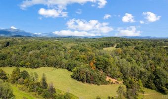477 Gidsville Rd, Amherst, VA 24521