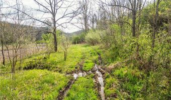 E Captina Highway Road, Alledonia, OH 43902