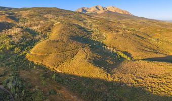 Old Herron Road lot 48, Basalt, CO 81621