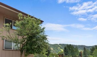 326 Midland Ave 302, Aspen, CO 81611