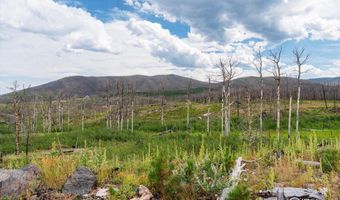 529 Quartz Rd, Bellvue, CO 80512