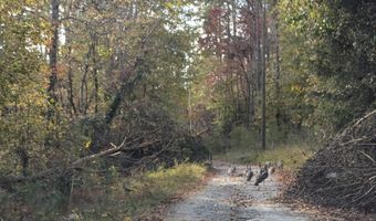 390 Sherrill, Blacksburg, SC 29702