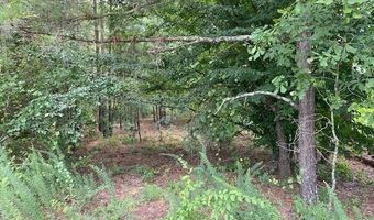 Daniels Lane lot 1-D, Bennettsville, SC 29512