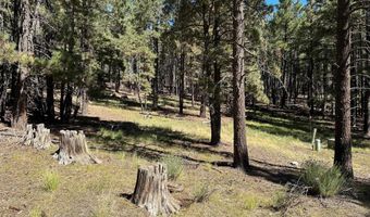 Lot 7 Blk D St Andrews Way, Angel Fire, NM 87710