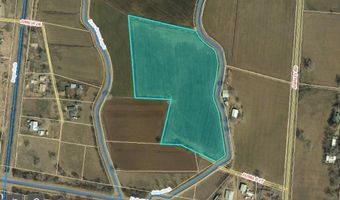 Flora D, Bosque, NM 87006