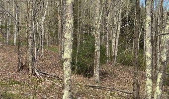 State Highway 30, Andes, NY 13731