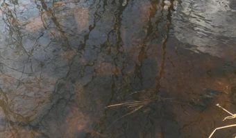 Lot 119 Mountain Rd, Albrightsville, PA 18210