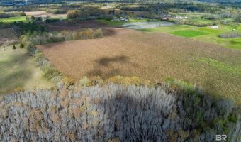 Parcel F Old Brady Road, Bay Minette, AL 36507