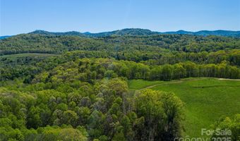 9999 Bee Balm Way 55, Asheville, NC 28804
